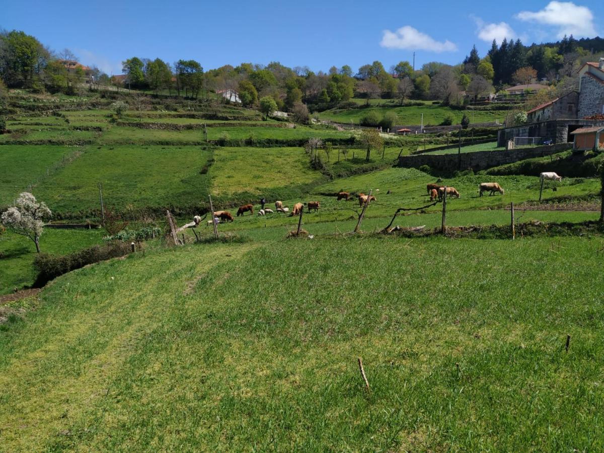 Pe Na Aldeia Villa Outeiro  Buitenkant foto