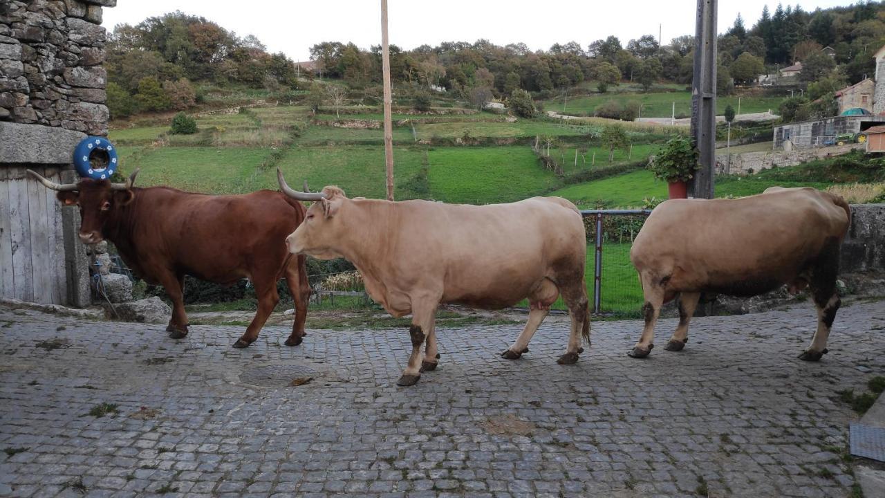 Pe Na Aldeia Villa Outeiro  Buitenkant foto