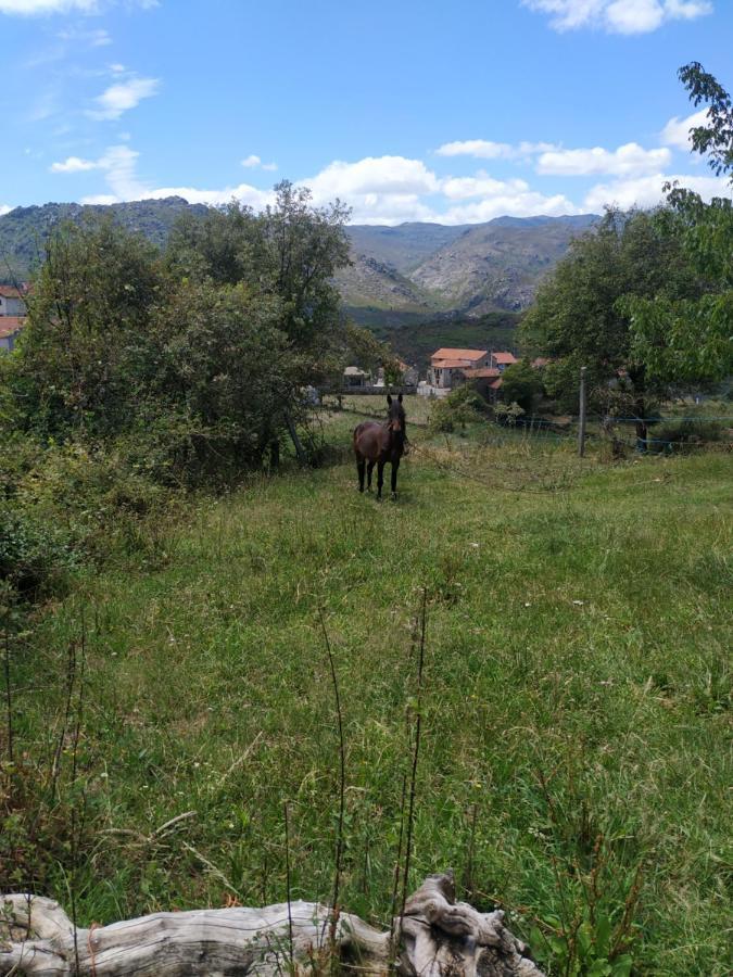 Pe Na Aldeia Villa Outeiro  Buitenkant foto